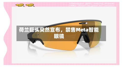 荷兰巨头突然宣布，禁售Meta智能眼镜