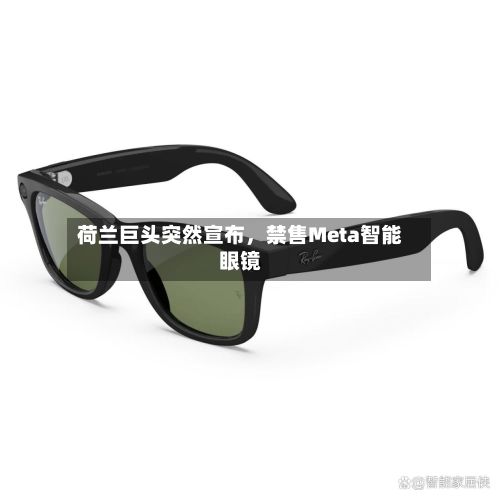 荷兰巨头突然宣布	，禁售Meta智能眼镜-第3张图片