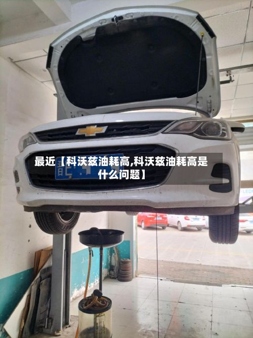 最近【科沃兹油耗高,科沃兹油耗高是什么问题】-第2张图片