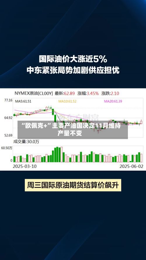 “欧佩克+	”主要产油国决定11月维持产量不变-第3张图片