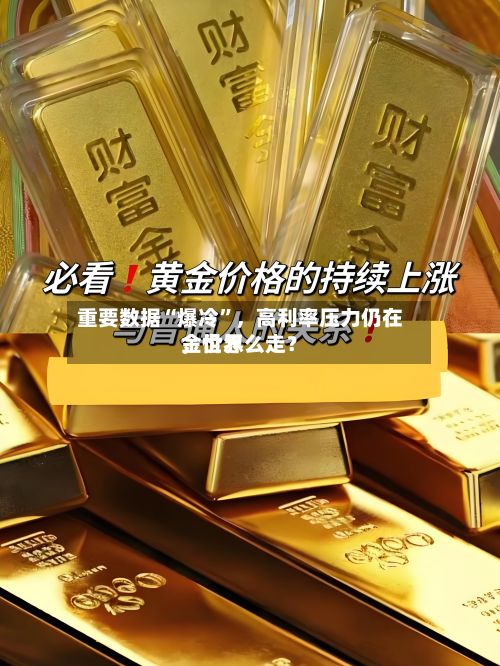 重要数据“爆冷”，高利率压力仍在	，世界金价怎么走？-第3张图片