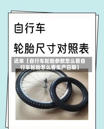 近来【自行车轮胎参数怎么看自行车轮胎怎么看生产日期】-第2张图片