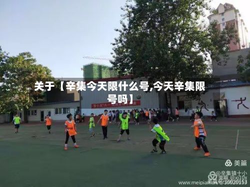 关于【辛集今天限什么号,今天辛集限号吗】
