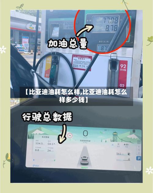 【比亚迪油耗怎么样,比亚迪油耗怎么样多少钱】