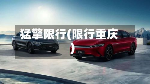 猛擎限行(限行重庆)