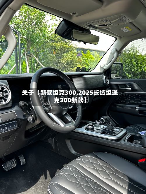 关于【新款坦克300,2025长城坦途克300新款】-第2张图片