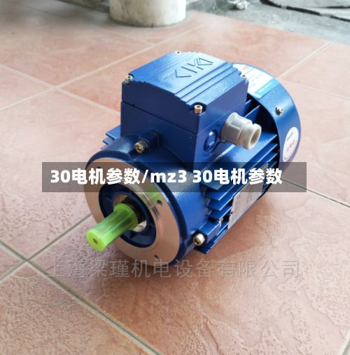 30电机参数/mz3 30电机参数-第2张图片