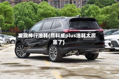 发现神行油耗(昂科威plus油耗太厉害了)