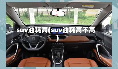 suv油耗高(suv油耗高不高)-第2张图片