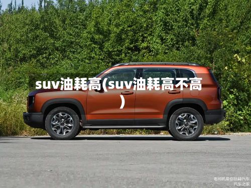 suv油耗高(suv油耗高不高)