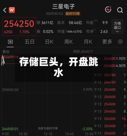 存储巨头，开盘跳水