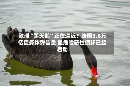 欧洲“黑天鹅”正在逼近？法国3.6万亿债务炸弹告急 最危险恶性循环已经启动-第2张图片