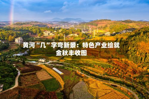 黄河“几”字弯新景：特色产业绘就金秋丰收图-第3张图片