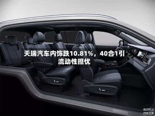 天瑞汽车内饰跌10.81%，40合1引流动性担忧-第2张图片