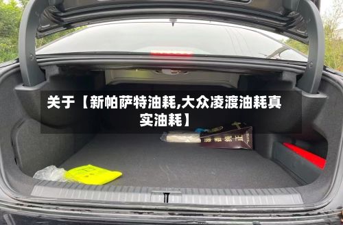 关于【新帕萨特油耗,大众凌渡油耗真实油耗】