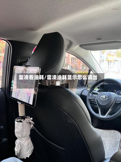 雷凌看油耗/雷凌油耗显示怎么调出来