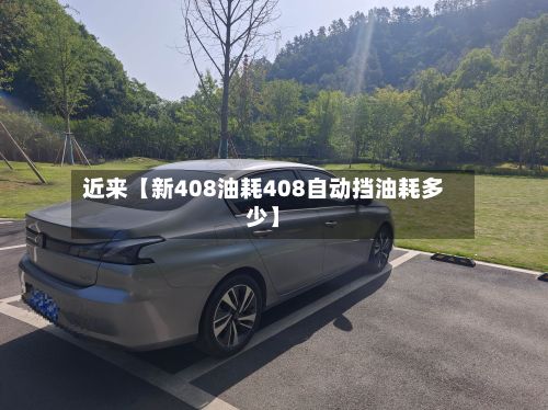 近来【新408油耗408自动挡油耗多少】