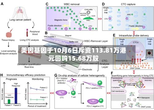 美因基因于10月6日斥资113.81万港元回购15.68万股