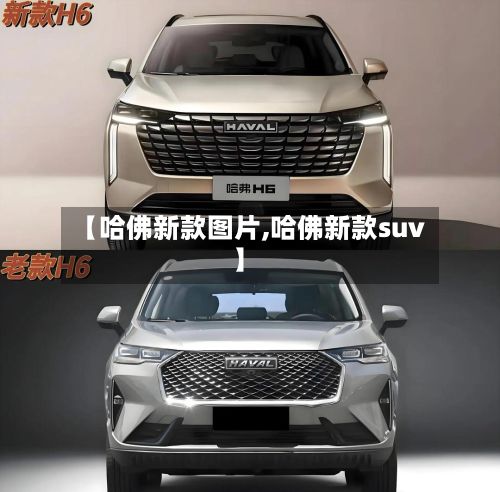 【哈佛新款图片,哈佛新款suv】-第2张图片