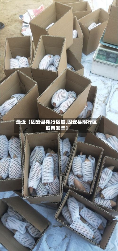 最近【固安县限行区域,固安县限行区域有哪些】
