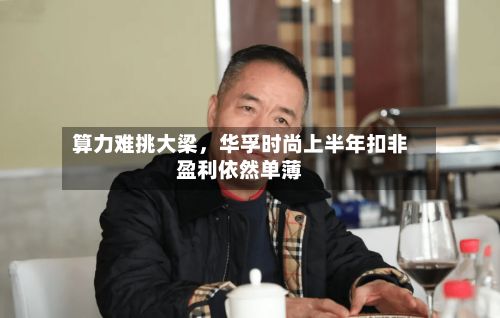 算力难挑大梁，华孚时尚上半年扣非盈利依然单薄