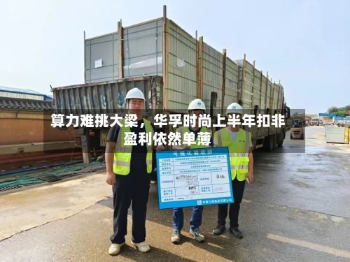 算力难挑大梁，华孚时尚上半年扣非盈利依然单薄-第2张图片