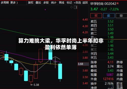 算力难挑大梁	，华孚时尚上半年扣非盈利依然单薄-第3张图片