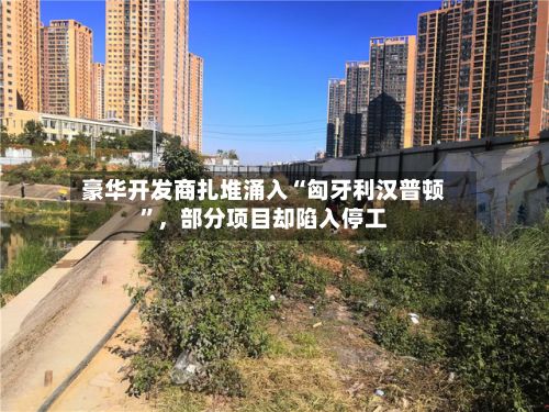 豪华开发商扎堆涌入“匈牙利汉普顿”，部分项目却陷入停工-第2张图片