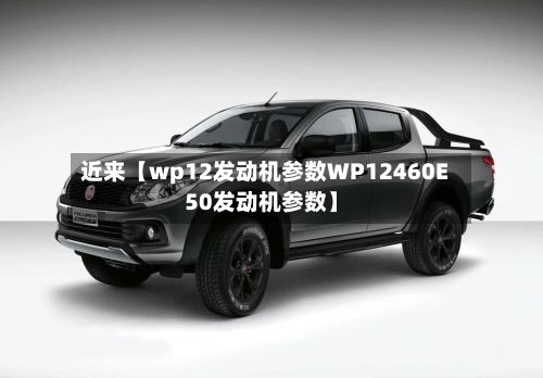 近来【wp12发动机参数WP12460E50发动机参数】-第2张图片