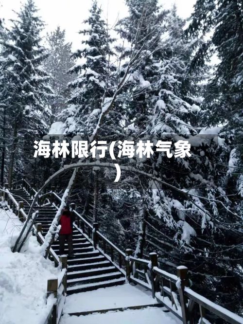 海林限行(海林气象)