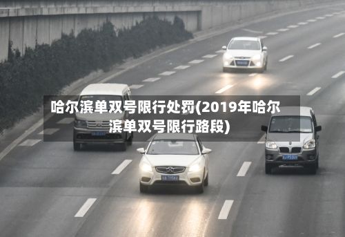哈尔滨单双号限行处罚(2019年哈尔滨单双号限行路段)