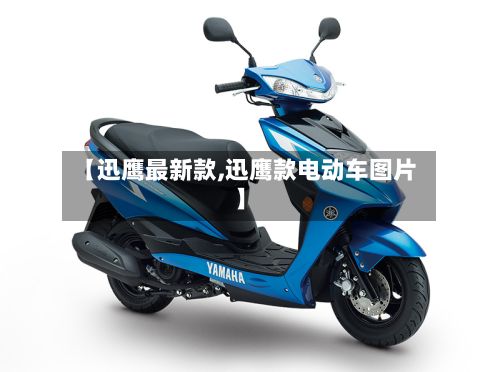 【迅鹰最新款,迅鹰款电动车图片】