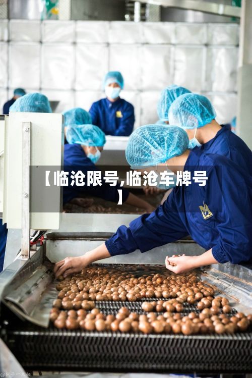 【临沧限号,临沧车牌号】