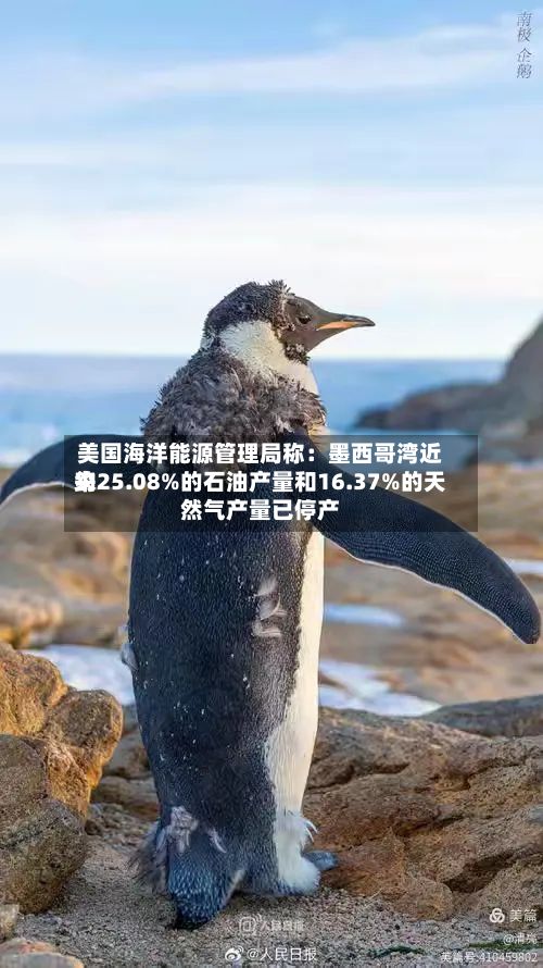 美国海洋能源管理局称：墨西哥湾近来约25.08%的石油产量和16.37%的天然气产量已停产