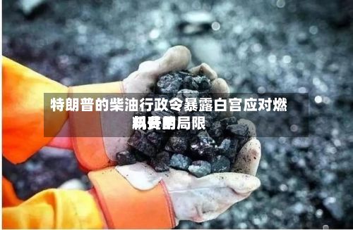 特朗普的柴油行政令暴露白宫应对燃料费用飙升的局限-第3张图片