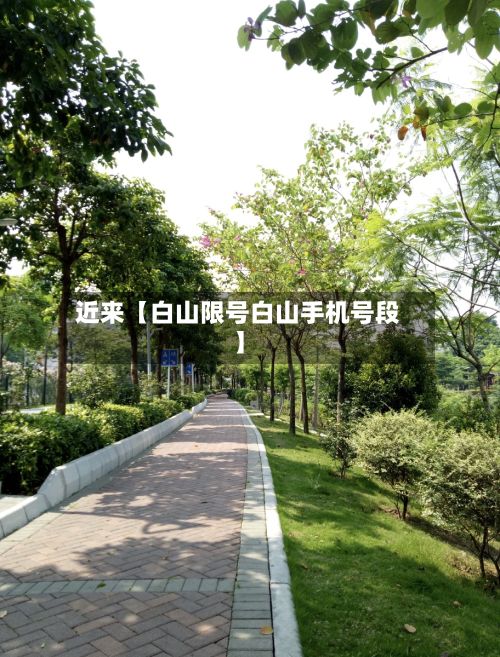 近来【白山限号白山手机号段】-第3张图片