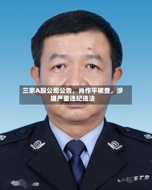 三家A股公司公告，肖作平被查，涉嫌严重违纪违法-第2张图片