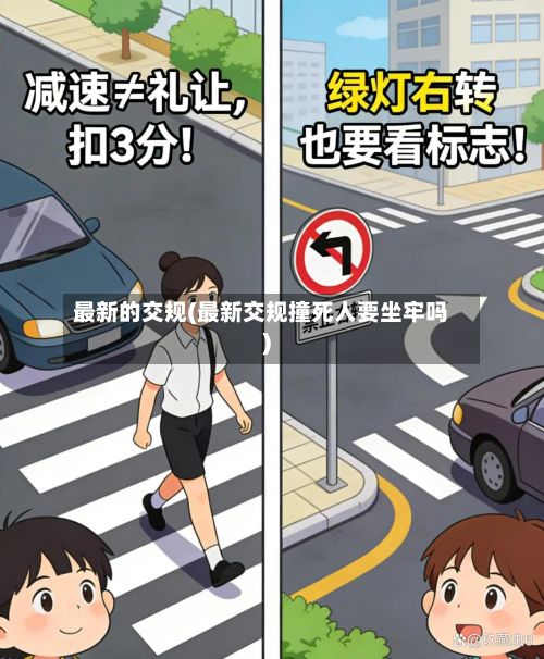 最新的交规(最新交规撞死人要坐牢吗)-第3张图片