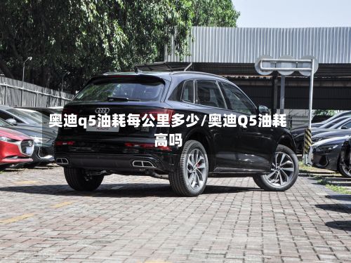 奥迪q5油耗每公里多少/奥迪Q5油耗高吗