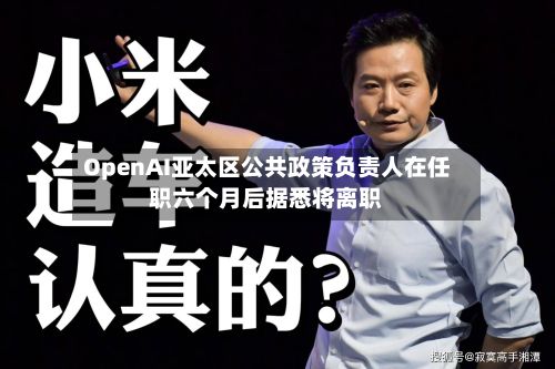OpenAI亚太区公共政策负责人在任职六个月后据悉将离职