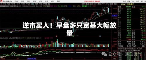 逆市买入！早盘多只宽基大幅放量