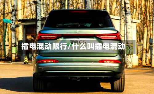 插电混动限行/什么叫插电混动-第3张图片