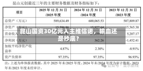 昆山国资30亿元入主维信诺，输血还是抄底？-第2张图片