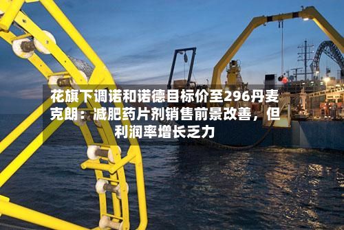 花旗下调诺和诺德目标价至296丹麦克朗：减肥药片剂销售前景改善，但利润率增长乏力-第2张图片