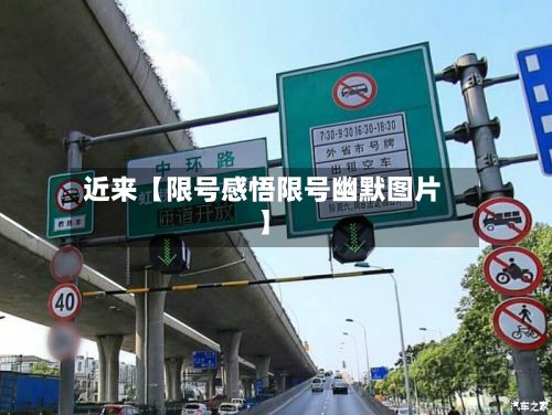 近来【限号感悟限号幽默图片】-第2张图片
