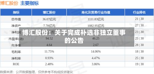 博汇股份：关于完成补选非独立董事的公告