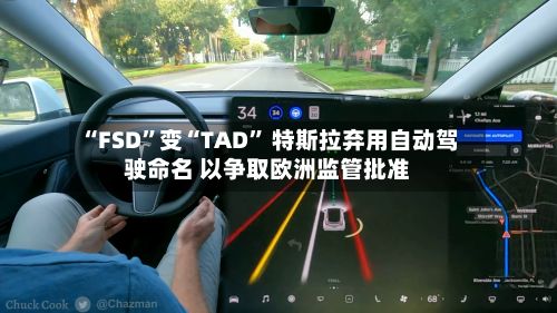 “FSD”变“TAD” 特斯拉弃用自动驾驶命名 以争取欧洲监管批准-第2张图片