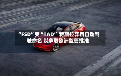 “FSD”变“TAD” 特斯拉弃用自动驾驶命名 以争取欧洲监管批准-第3张图片