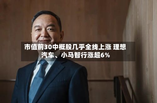市值前30中概股几乎全线上涨 理想汽车、小马智行涨超6%