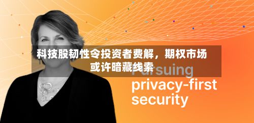 科技股韧性令投资者费解	，期权市场或许暗藏线索-第2张图片